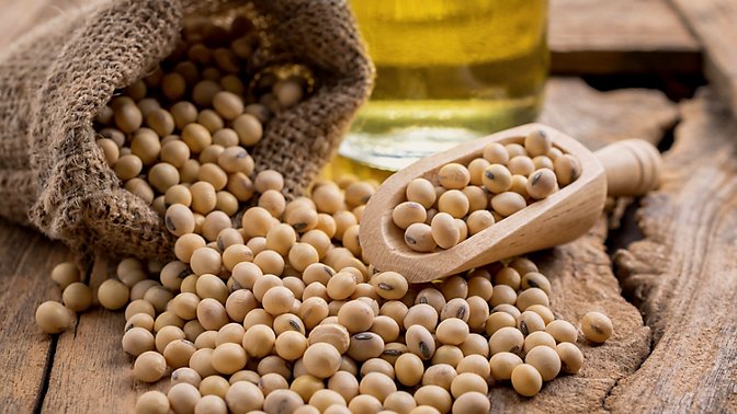 Agricultural Products